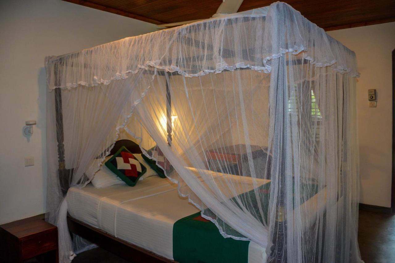 Goyambokka Guesthouse Tangalle Ngoại thất bức ảnh