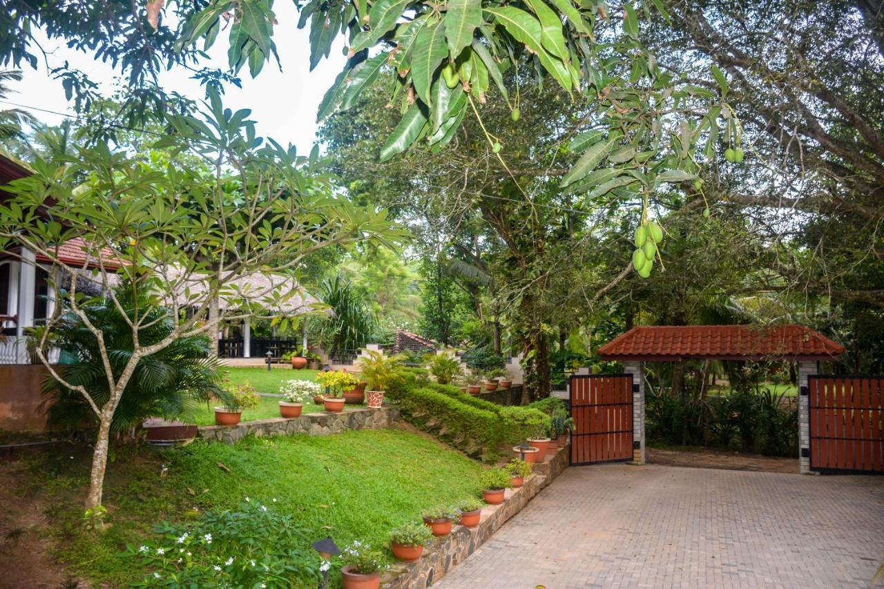 Goyambokka Guesthouse Tangalle Ngoại thất bức ảnh