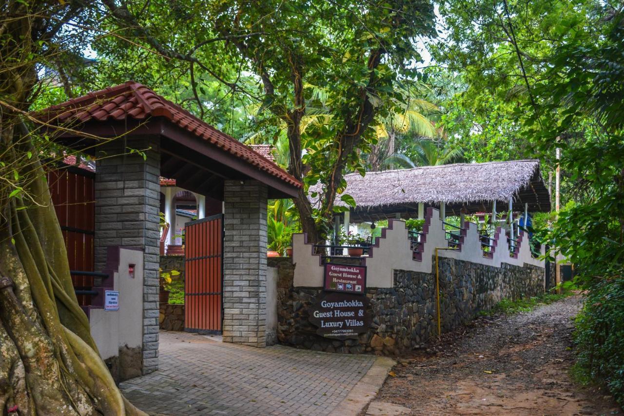 Goyambokka Guesthouse Tangalle Ngoại thất bức ảnh