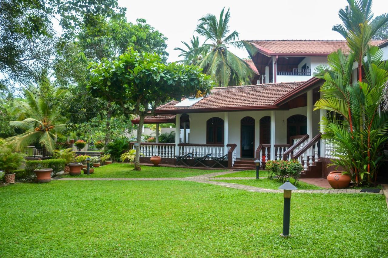 Goyambokka Guesthouse Tangalle Ngoại thất bức ảnh