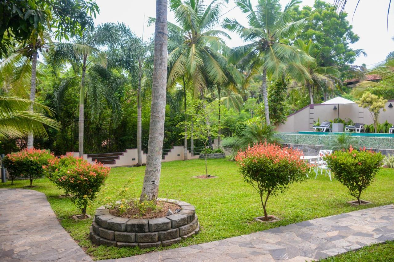 Goyambokka Guesthouse Tangalle Ngoại thất bức ảnh