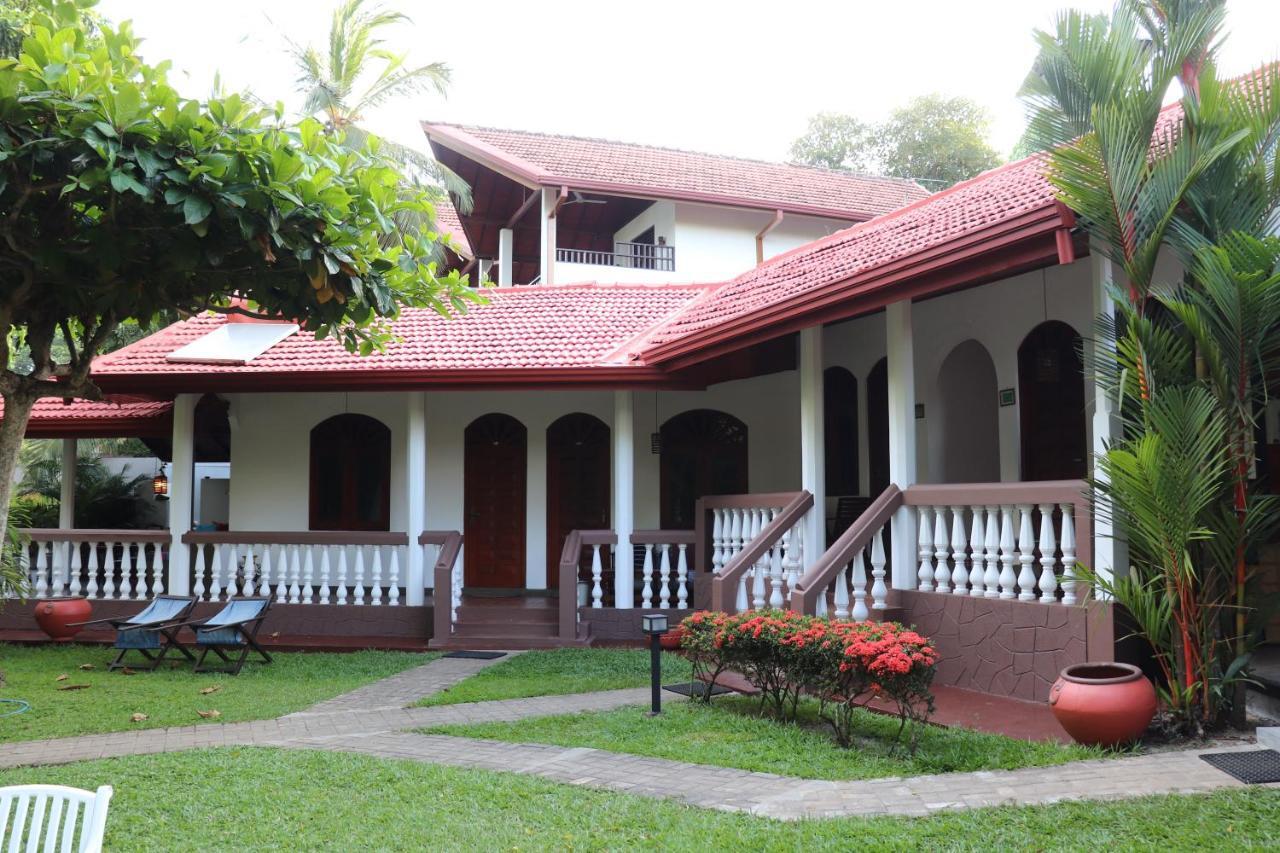 Goyambokka Guesthouse Tangalle Ngoại thất bức ảnh